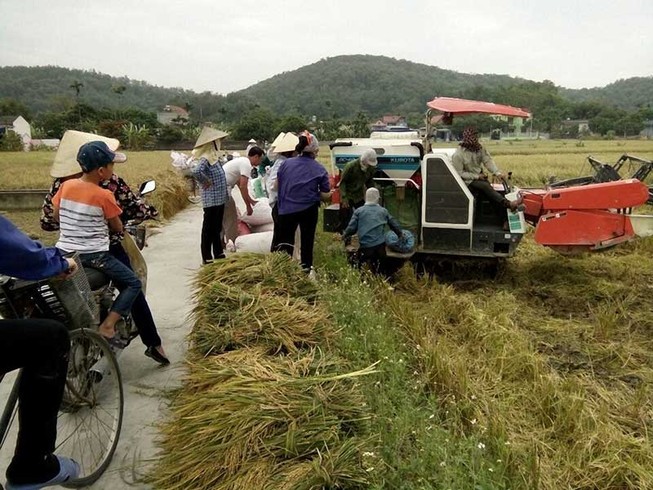Siêu bão Haima có thể đổi hướng vào Hong Kong