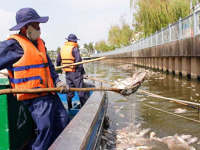 Lắp vòi bơm, máy quạt cho cá trên kênh Nhiêu Lộc