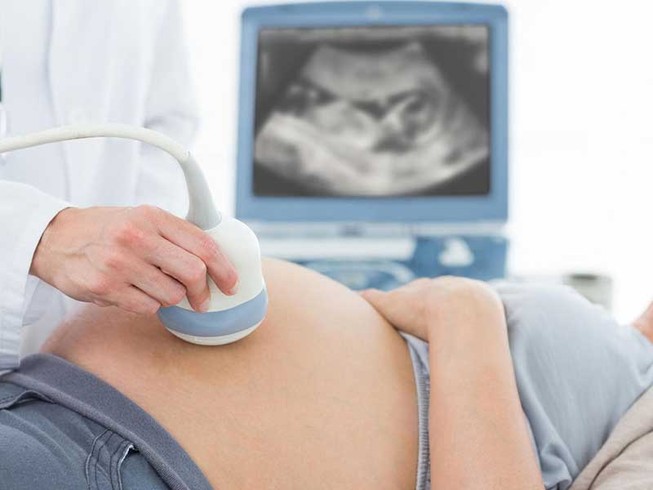 TP.HCM khẩn cấp đối phó với dịch Zika