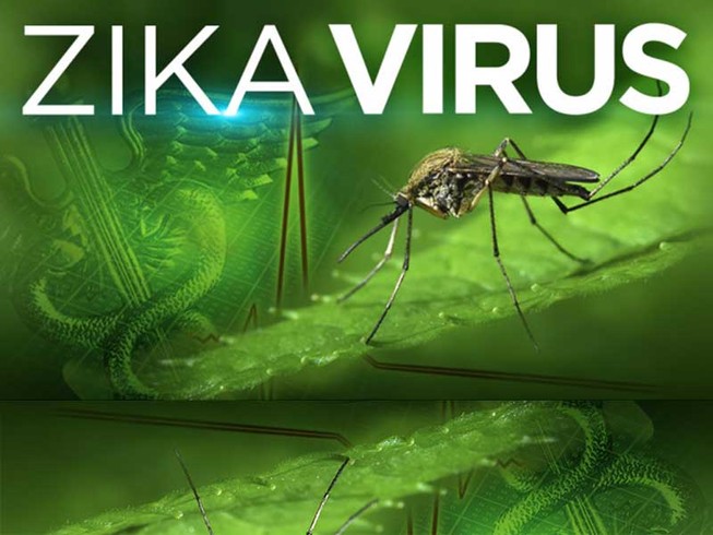 TP.HCM sẽ huy động học sinh chống dịch Zika