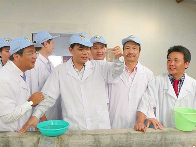 Không thể chấp nhận đổ thải xuống biển Vĩnh Hảo