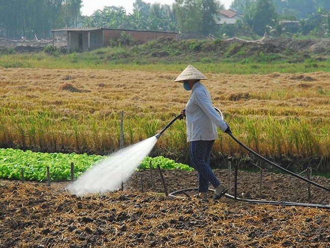 Dân có thể gửi đất đai vào ngân hàng như gửi tiền?