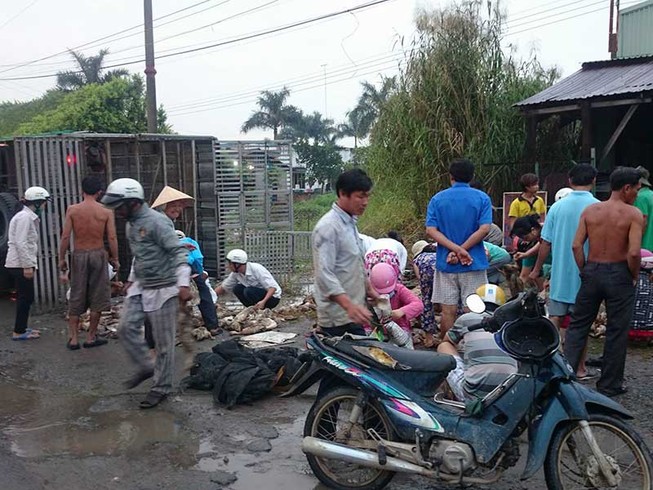 Cứu xe vịt bị lật: Nghĩ về ‘thủ lĩnh’ đám đông