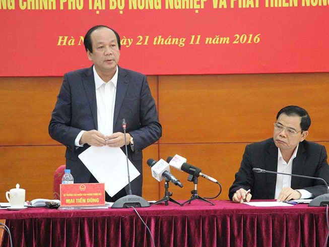 Vụ cấp khống 800 giấy phép: ‘Không chỉ xử lý nội bộ’