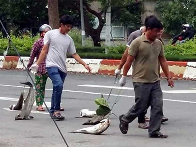 Hoãn xử vụ đòi bồi thường cá chết ở sông Chà Và