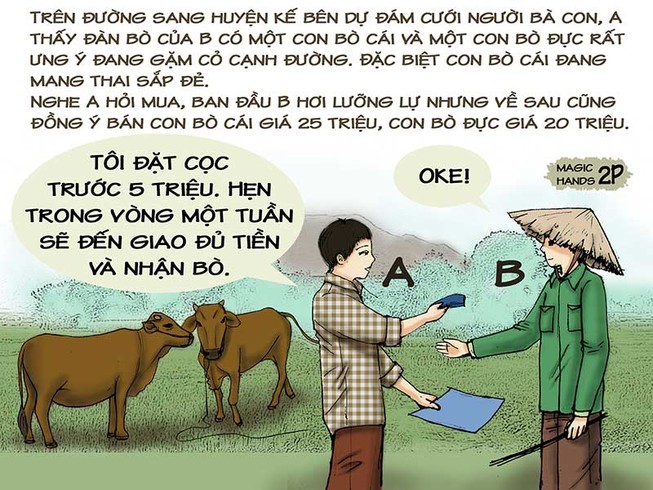 Tình huống kỳ 24: Lúng túng vì bò mẹ đẻ bò con