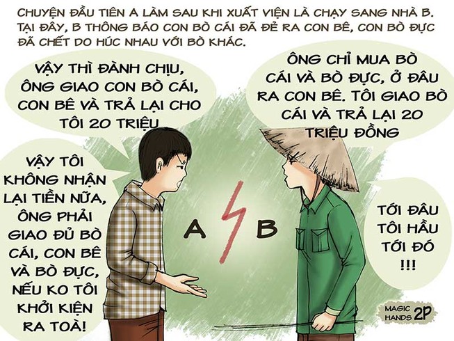 Tình huống kỳ 24: Lúng túng vì bò mẹ đẻ bò con