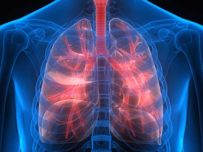 Sắp ‘in’ được nội tạng người