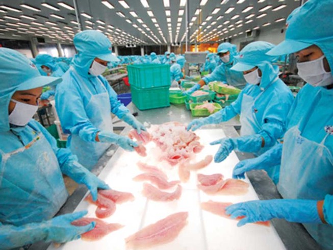 Hàng loạt doanh nghiệp Việt 'sập bẫy' đối tác ngoại