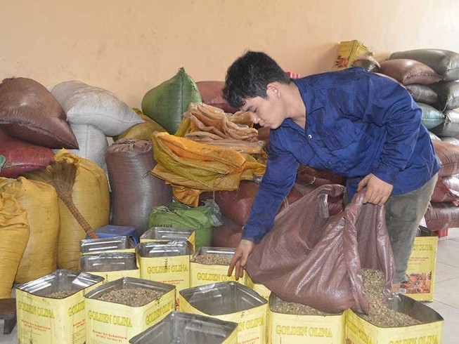 Lao đao vì tiếng oan ‘sản xuất cà phê giả, bẩn’