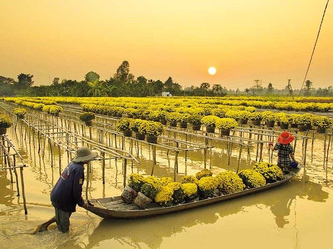 Giày cỏ, áo lụa và ghe lườn