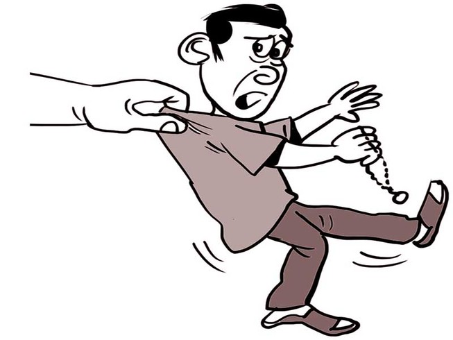 Kẻ cướp giật ngô nghê