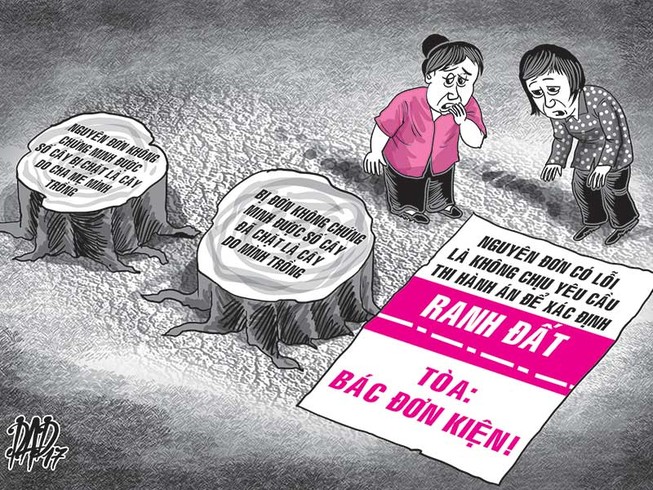 Đòi bồi thường 58 cây trúc, gáo bị đốn