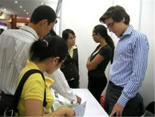Chưa được cấp giấy phép lao động cho người nước ngoài