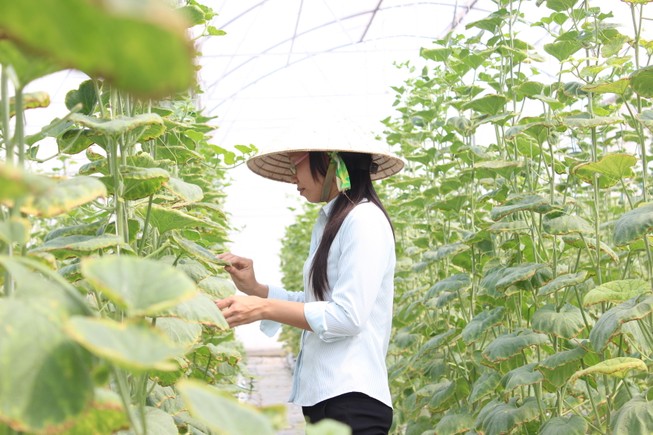 Cá nhân có thể vay gói lãi suất thấp 100.000 tỉ dồng