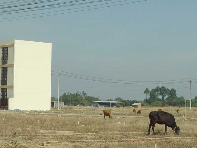 TP.HCM: Tách thửa trên 2.000 m2 phải lập dự án?