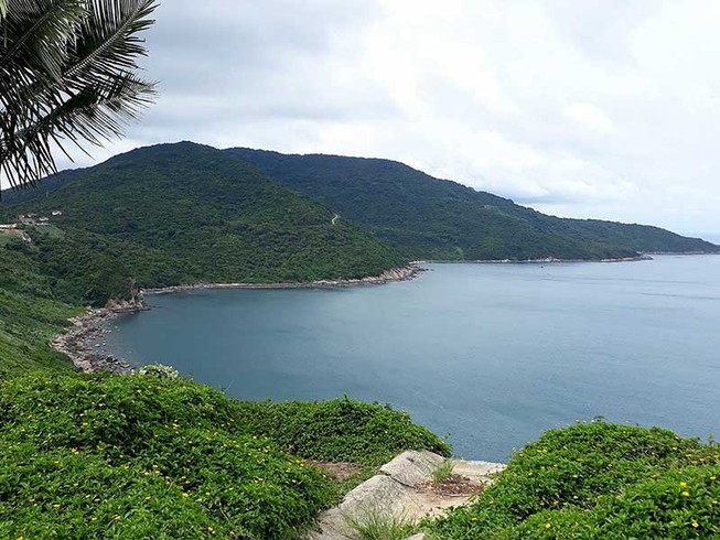 Các chủ đầu tư nói về báo cáo Sơn Trà