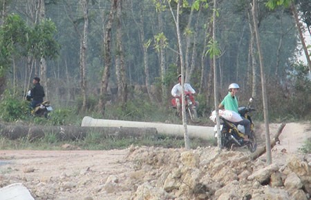 Công bố đường dây nóng tố giác buôn lậu