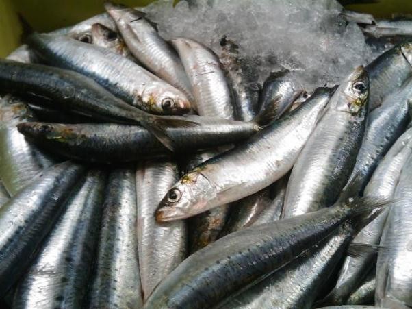7 loại thực phẩm cung cấp omega-3 tốt nhất