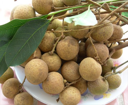 Lợi ích sức khỏe của quả nhãn