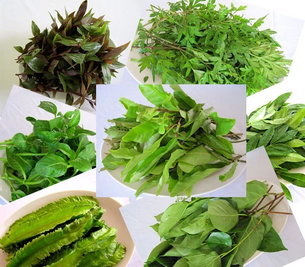 Rau sống và những nguy hiểm có thể đe dọa tới tính mạng