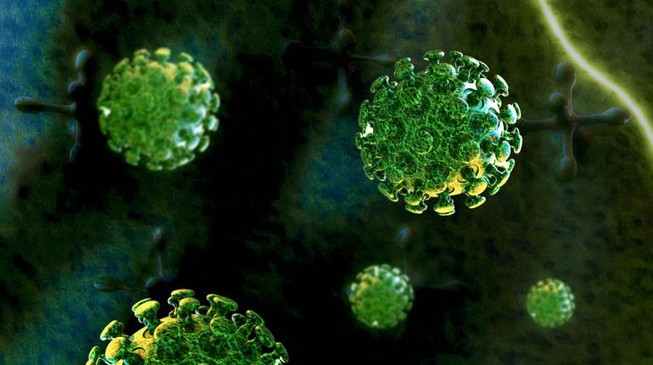 Hàng không triển khai phương án ứng phó với virus MERS-CoV