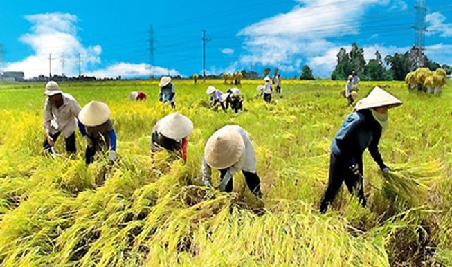 Nếu không cạnh tranh, nông nghiệp thất bại ngay sân nhà