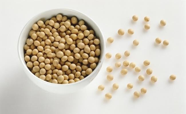 Những thắc mắc gây tranh cãi về đậu nành