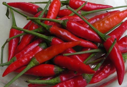 Thật sự ớt tốt đến đâu?