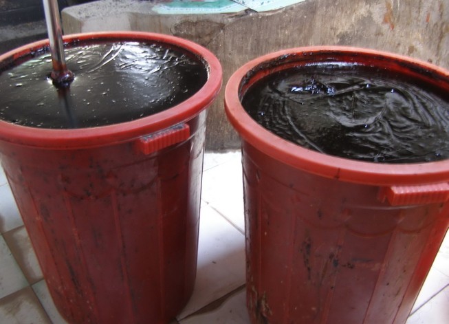 Sản xuất tương cà nhưng không có… cà