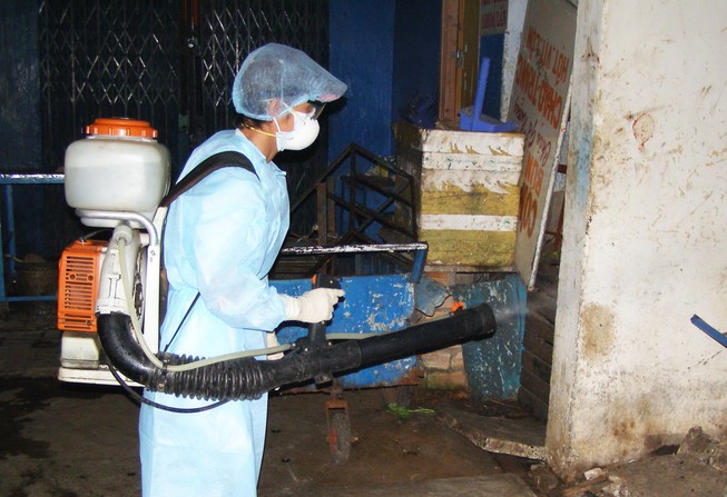TP.HCM: 7 người tử vong vì sốt xuất huyết
