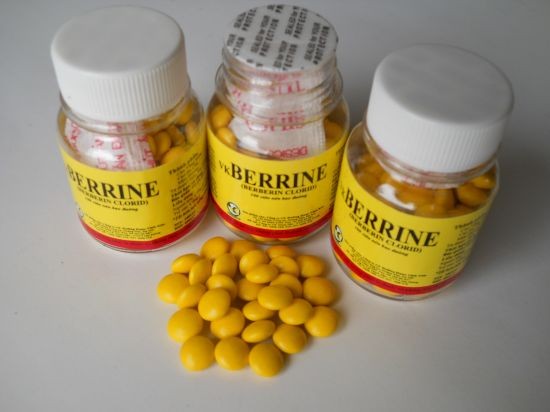 Cách sử dụng thuốc Berberin