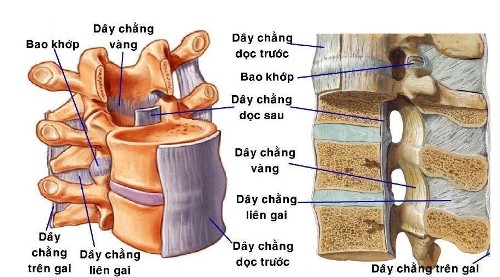 Đau tê từ bụng xuống chân coi chừng bị hẹp ống sống ngực