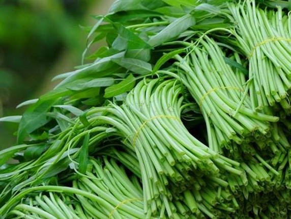 Phát hiện rau muống ngâm hóa chất để tươi xanh