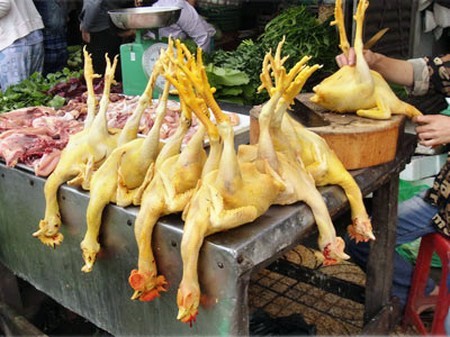 Mẹo nhận biết gà ta, gà tẩm bột sắt, gà thải loại Trung Quốc