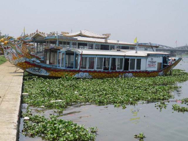 Lục bình ‘tấn công’ sông Hương