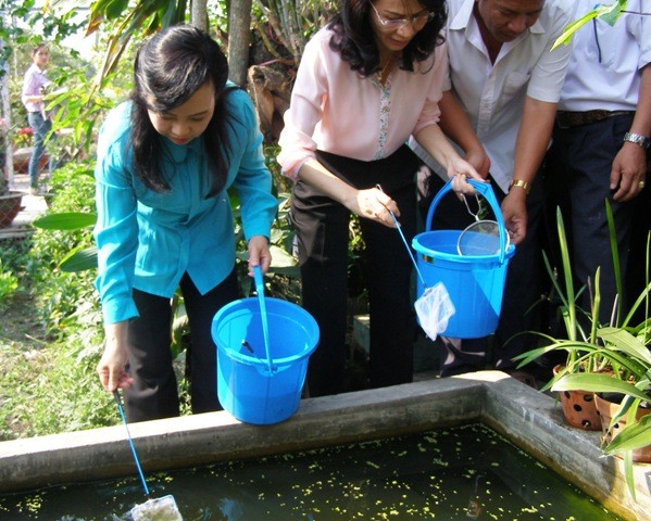 Giám sát huyết thanh sốt xuất huyết tại năm bệnh viện