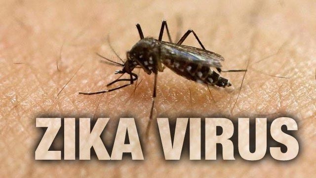 Một du khách Úc nhiễm virus Zika sau khi trở về từ Việt Nam