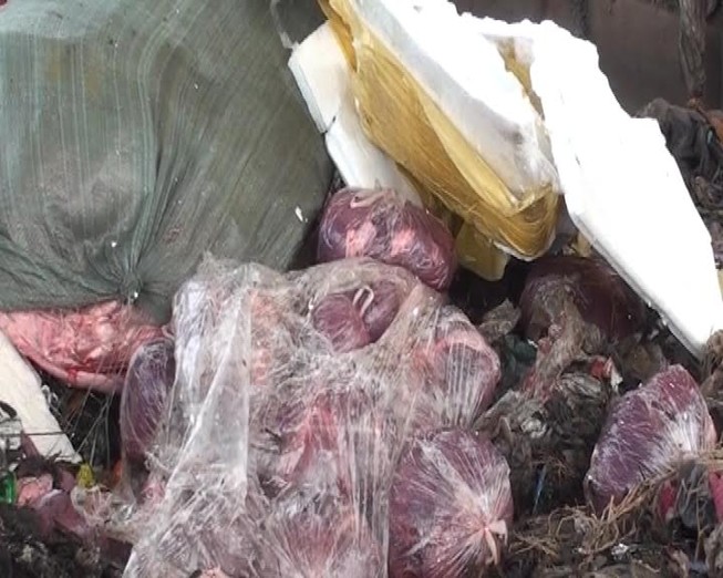 Phát hiện 1.600 kg nội tạng động vật không rõ nguồn gốc trên xe khách