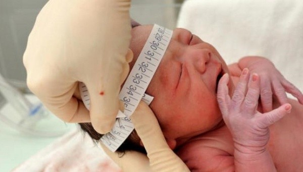 Virus Zika có khả năng biến thể nguy hiểm như thế nào?
