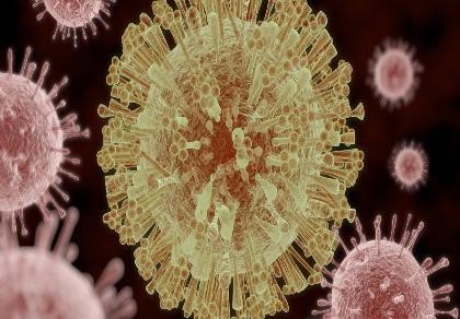 1 người Đài Loan nhiễm Zika sau khi về Việt Nam dự đám cưới
