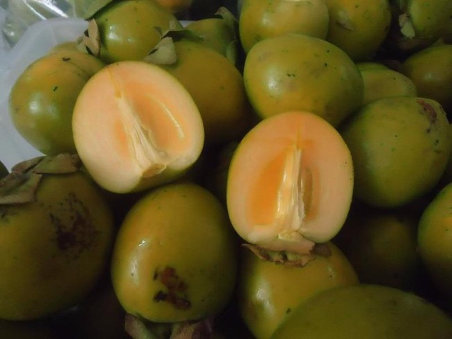 Trước khi ăn hồng, nên đọc kỹ những điều này
