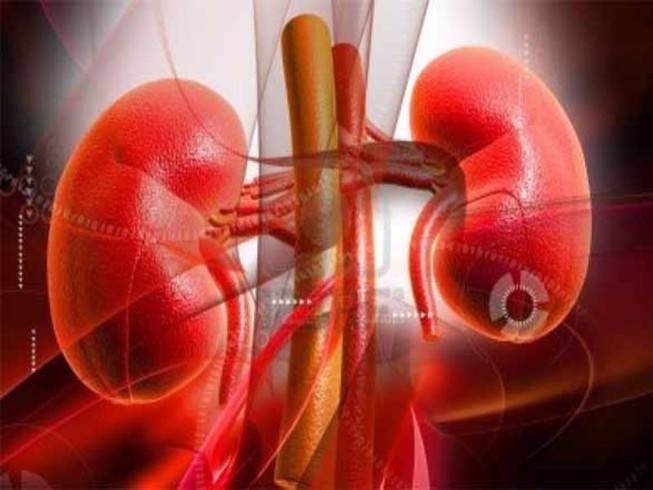 10 dấu hiệu phát hiện sớm bệnh thận
