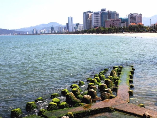 Đổ xô về phố biển Nha Trang ngắm rêu xanh