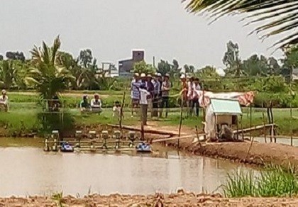Bị chém chết khi ngủ chòi canh giữ vuông tôm