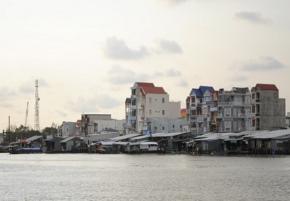 Một gốc huyện Trần Văn Thời.