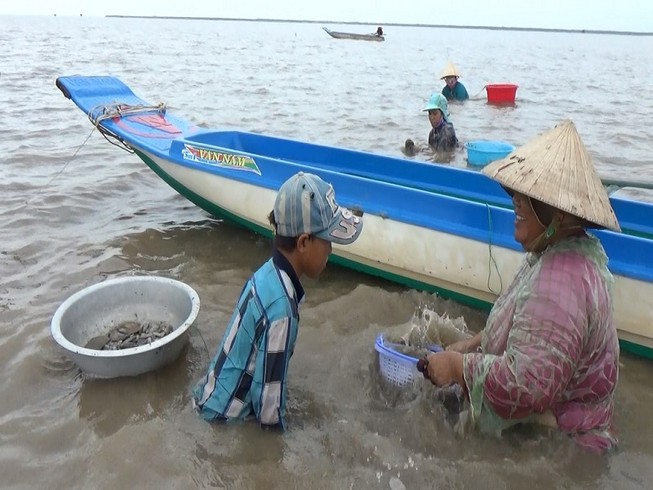 Những ngư dân bị khởi tố là dân hái lượm.