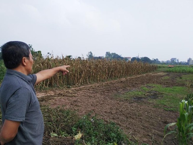 Hà Nội tạm dừng chuyển 2000 ngôi mộ vào khu dân cư