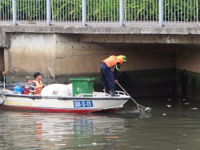 Thời hạn cứu đàn cá ở kênh Nhiêu Lộc - Thị Nghè