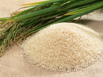 Giá gạo xuất khẩu đang thấp kỷ lục